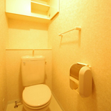 トイレの様子　収納スペースもあります